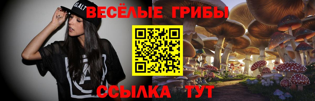 Галлюциногенные грибы Cubensis  Вход с VPN  Красноярск 